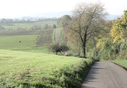 img_8409, © N. Mainz img_8409, © N. Mainz