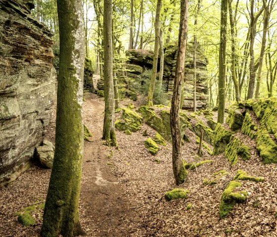bei der Lauschtour Grüne Hölle geht es durch bizarre Felsenlandschaft, © Eifel Tourismus GmbH, Dominik Ketz bei der Lauschtour Grüne Hölle geht es durch bizarre Felsenlandschaft, © Eifel Tourismus GmbH, Dominik Ketz