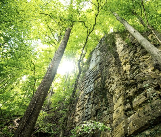 Impressive rock face in the Wolfsschlucht gorge on Felsenweg 3, © Eifel Tourismus GmbH, D. Ketz Impressive rock face in the Wolfsschlucht gorge on Felsenweg 3, © Eifel Tourismus GmbH, D. Ketz