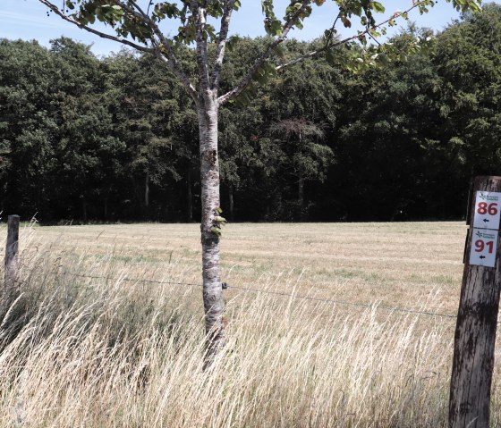 On hiking trail no. 86 in the direction of Lauperath, © TI Islek On hiking trail no. 86 in the direction of Lauperath, © TI Islek