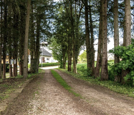 1920__output_Buero_140523_Orsfeld_Ferienwohnung_A7 1920__output_Buero_140523_Orsfeld_Ferienwohnung_A7
