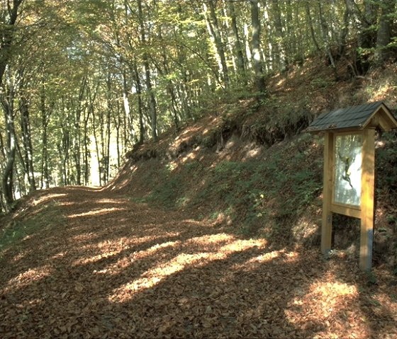 A forest path covered with autumn leaves, lined with trees. On the right is a wooden information sign., &copy; TI Bitburger Land