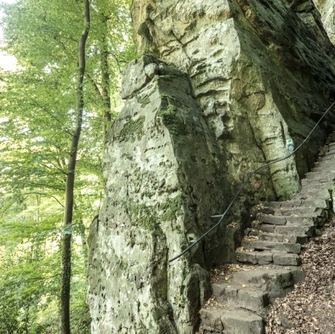 Eine steile Steintreppe führt durch eine bewaldete Schlucht. Die Felsen sind mit Moos bedeckt, und ein Seil dient als Geländer.