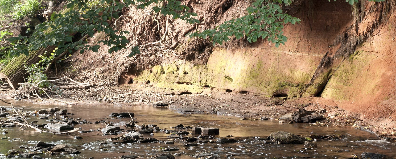 Ein Bach flie&szlig;t an einer roten Erdwand vorbei, umgeben von gr&uuml;nen Bl&auml;ttern und Steinen., &copy; V. Teuschler