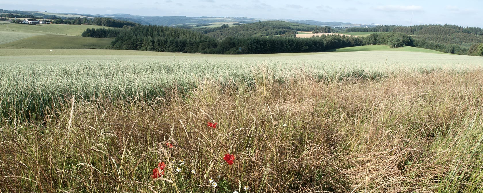 View over Bommert, © V. Teuschler