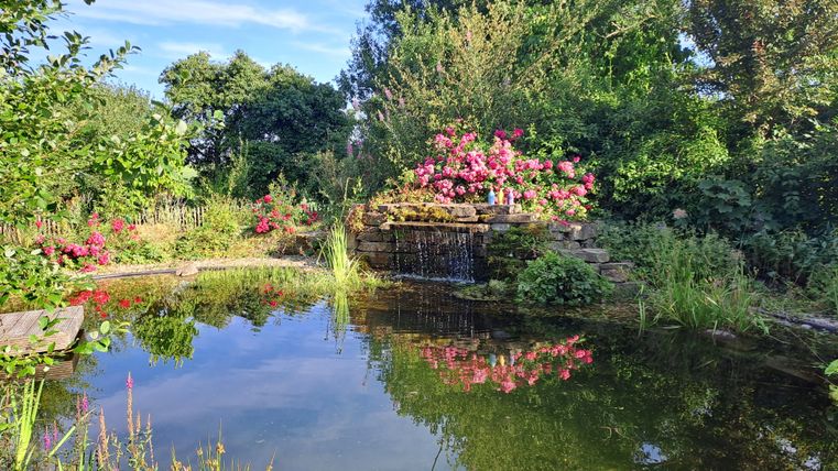 Ein schöner Teich mit klarem Wasser und reflektierenden Pflanzen. Bunte Blumen und ein Wasserfall umgeben die ruhige Szenerie.