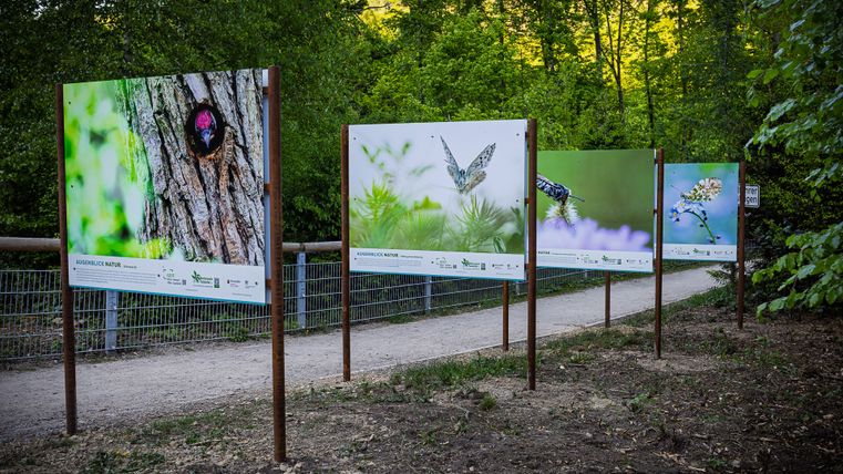 Ausstellung von Tierfotos bei den Irreler Wasserfällen