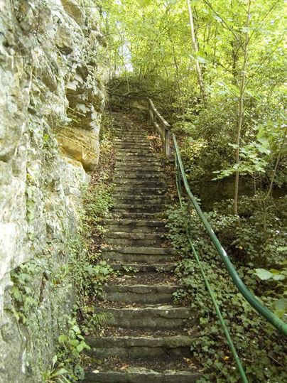 Un sentier étroit et envahie grimpe raide vers le haut. Entouré d'arbres verts et de rochers, le chemin est marqué par la nature.
