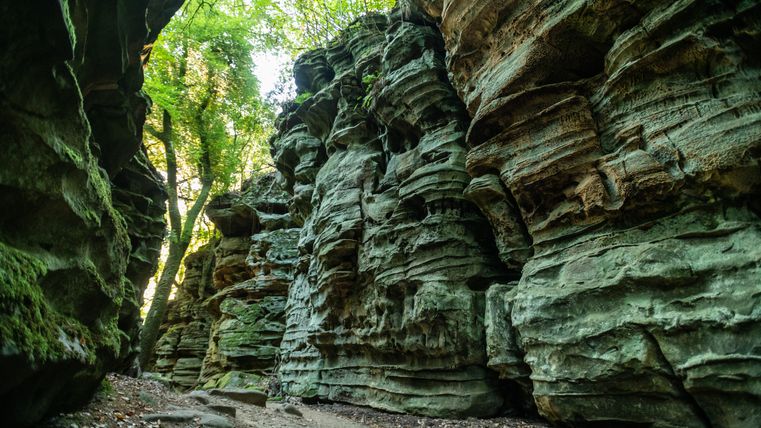 Felsen in der Teufelsschlucht mit Bäumen oben.