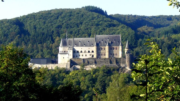 Un château impressionnant sur une colline, entouré de forêts verdoyantes. La vue dégagée montre l'architecture du château au soleil.
