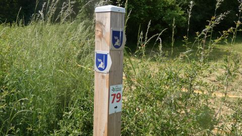 Un panneau en bois avec deux blasons et le numéro 79. Entouré d'herbes hautes et de buissons dans la nature.