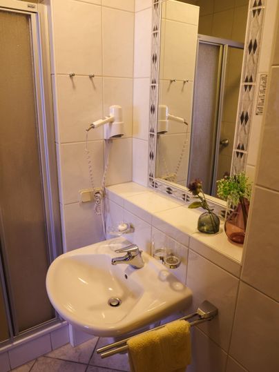 Une petite salle de bains avec un lavabo et un miroir. En arrière-plan, il y a une douche et une plante verte sur l'étagère.