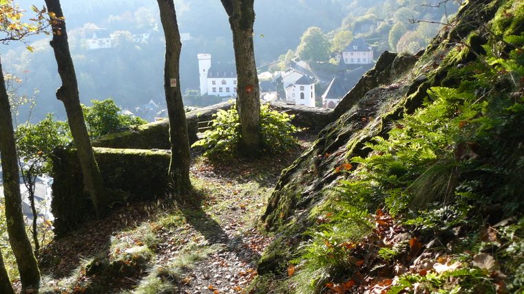 Chemin forestier avec vue sur des bâtiments à Neuerburg.