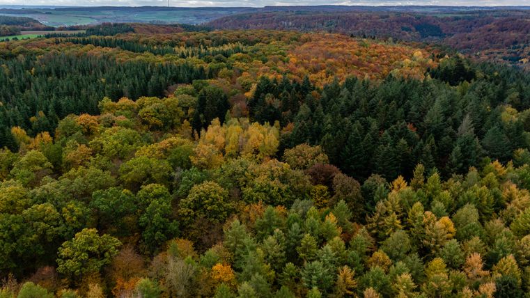 Langenberg und Bocksberg bei Wallendorf