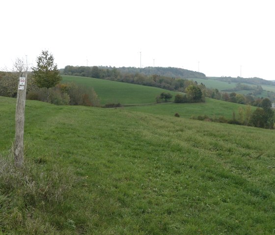 Grüne Hügel mit Windrädern am Horizont, ein Holzpfosten mit Schild im Vordergrund. Weite Landschaft unter bewölktem Himmel., © Felsenland Südeifel Tourismus, Christian Calonec-Rauchfuss