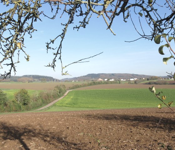 img_8437, &copy; N. Mainz