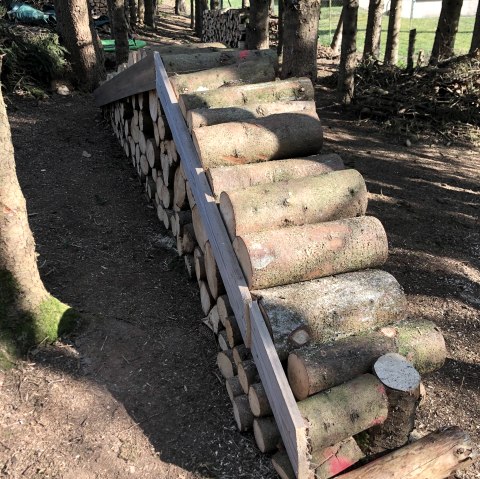 Hundespielplatz Bitburg - Impressionen 2, &copy; Irene Weber