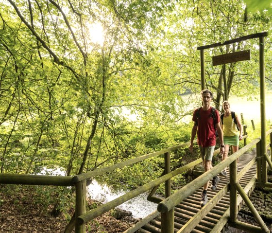 Bach-Pfad im NaturWanderPark delux, Ernst-Br&uuml;cke &uuml;ber den Alfbach, &copy; Eifel Tourismus GmbH, D. Ketz
