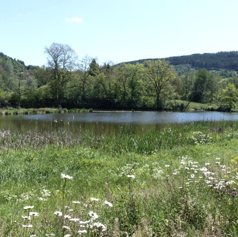 Stausee Irrhausen, &copy; Tourist-Info Islek