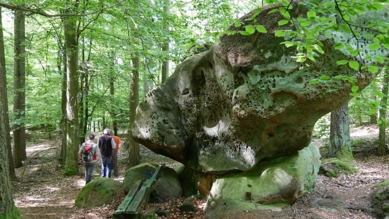 Zwei Personen gehen durch einen dichten Wald. Im Vordergrund ist ein großer, gefleckter Felsen sichtbar.