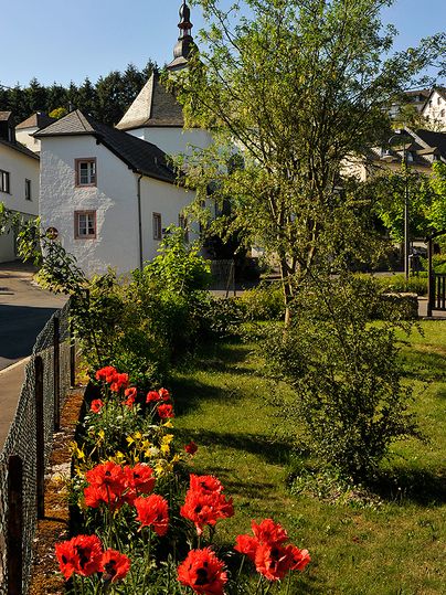 Blumenbeet mit roten Blumen vor einem weißen Gebäude mit Turm.