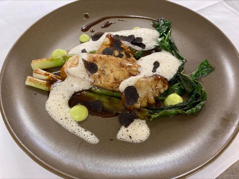An artistically arranged plate with fried meat, green vegetables, and a delicious sauce. The dish is garnished with black truffles and small green dots.