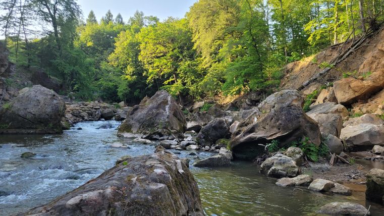 Ein ruhiger Fluss fließt zwischen großen Steinen und üppigem, grünem Wald. Die Sonne scheint und schafft eine angenehme Atmosphäre.
