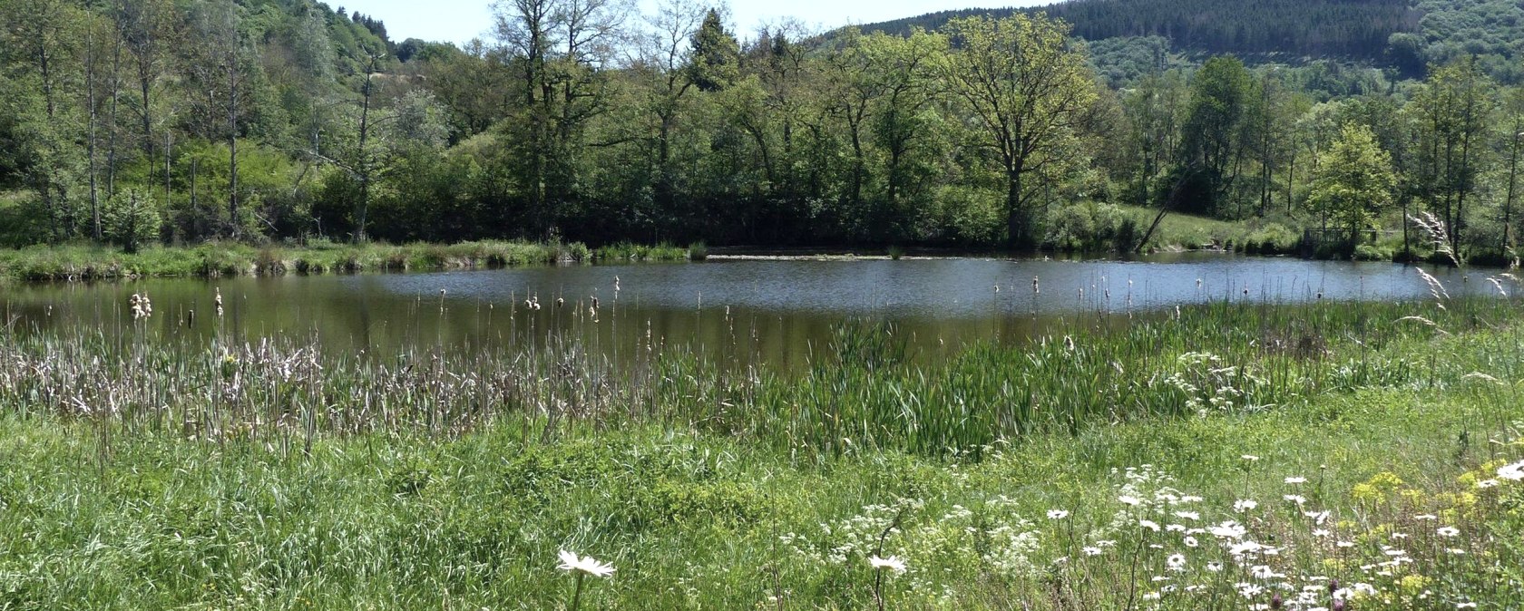 Stausee Irsental, &copy; Tourist-Info Islek, Ingrid Wirtzfeld