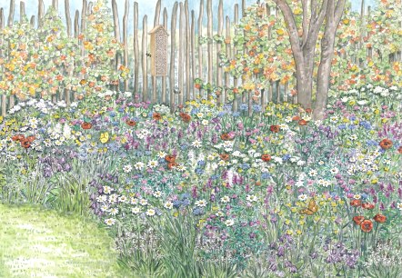 Gartenkultur-Eifel Blumenwiese, &copy; Naturpark S&uuml;deifel/Sabine Dubb