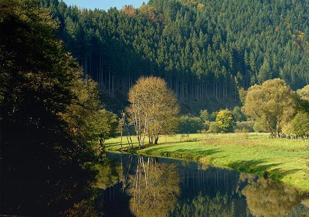 Fluss Our bei Obereisenbach, umgeben von Wald und Wiesen.