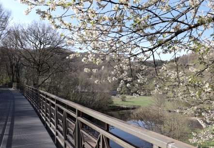 Prüm-Radweg, © Tourist-Information Islek
