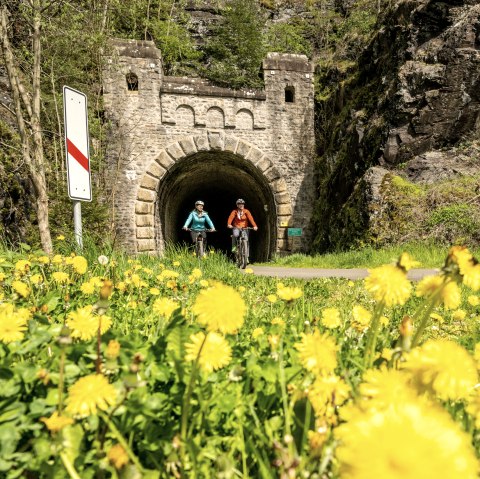 Zwei Radfahrer auf einem Weg vor einem alten Bahntunnel, umgeben von bl&uuml;hendem L&ouml;wenzahn und Verkehrsschildern., &copy; Eifel Tourismus GmbH, Dominik Ketz