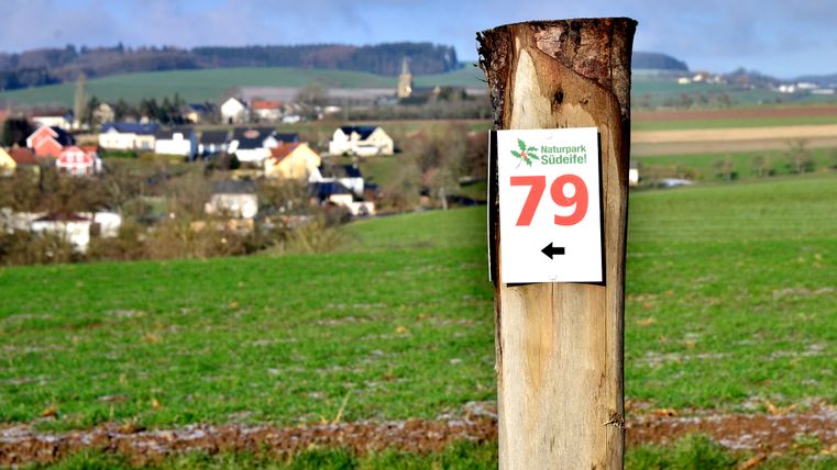 Ein Wegweiser im Naturpark Südeifel mit der Nummer 79 vor einer ländlichen Landschaft.