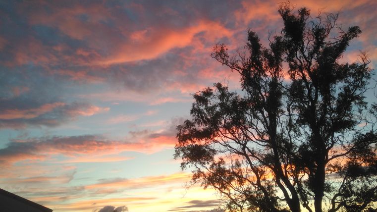 Ein farbenfroher Sonnenuntergang mit rosa und orangefarbenen Wolken. Im Vordergrund steht ein silhouettierter Baum.