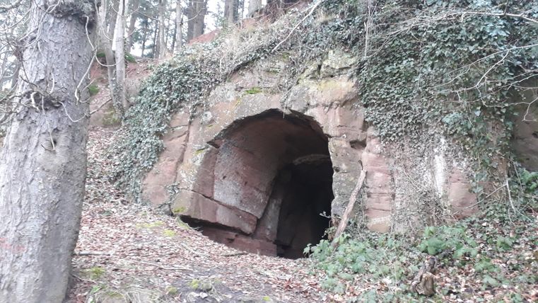Entrance to an old ice cellar in a wooded area, surrounded by ivy and trees.