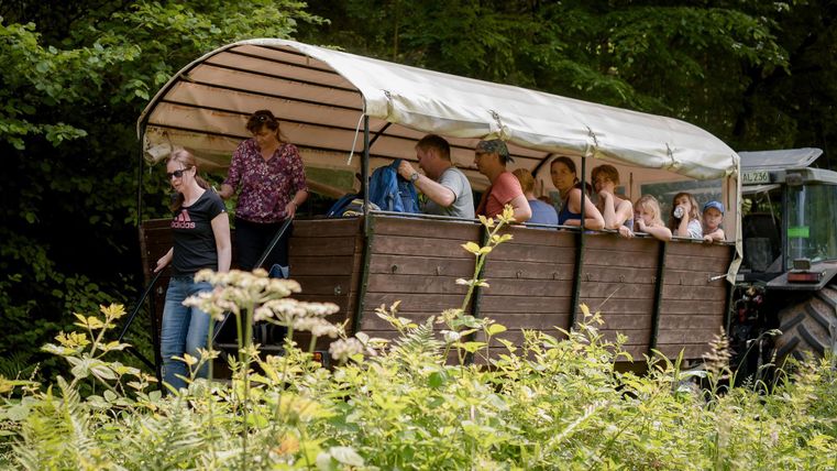 Een groep mensen zit in een open wagen die door een tractor wordt getrokken. Ze rijden door een groene, bosrijke omgeving.