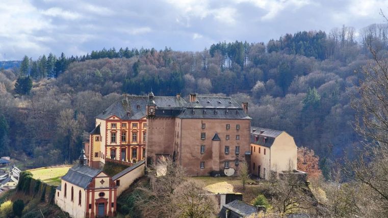 Eine alte Burg auf einem Hügel, umgeben von Bäumen und einer malerischen Landschaft. Der Himmel ist bewölkt und verleiht der Szene eine geheimnisvolle Atmosphäre.
