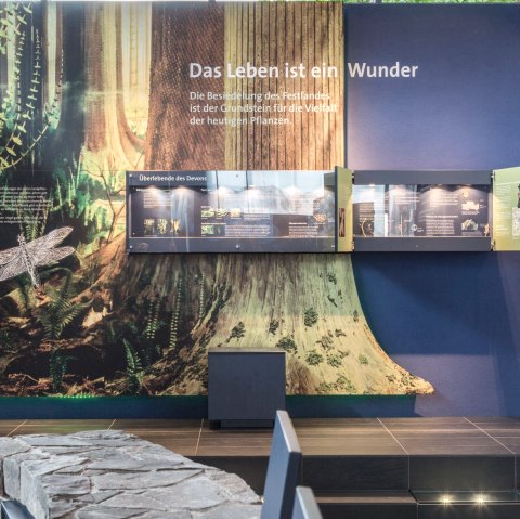 Devonium, &copy; Hans-Peter Gasper