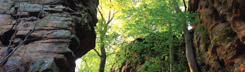 Felsenweg 3 im NaturWanderPark delux, &copy; NP S&uuml;deifel ZV / Charly Schleder