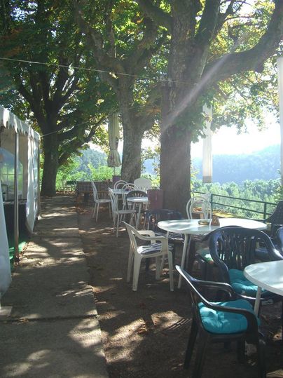 Un espace extérieur accueillant avec des tables et des chaises sous de grands arbres. L'environnement est vert et ensoleillé, idéal pour un moment de détente en plein air.
