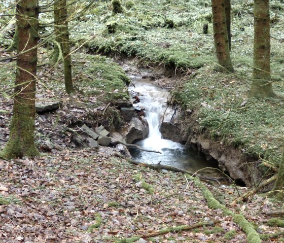 Stream in the forest, © Tourist-Information Islek