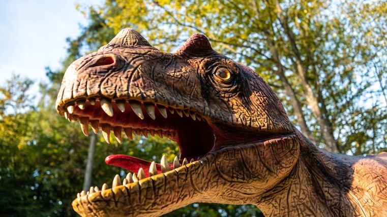 Een grote dinosaurierkop is te zien, met scherpe tanden en een levendige gezichtsuitdrukking. Op de achtergrond zijn groene bomen en een heldere lucht te herkennen.