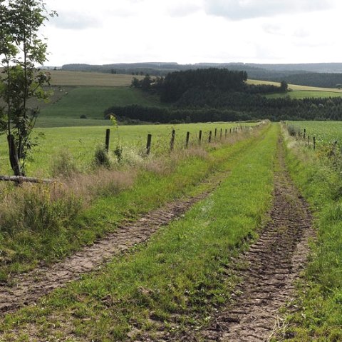 Eifel heights, © Volker Teuschler