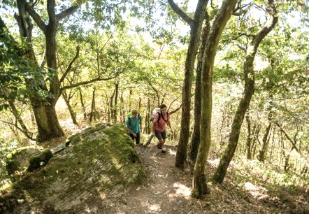 Zwei Wanderer auf einem schmalen, bewaldeten Pfad im Lätgesberg. Die Sonne scheint durch die Bäume und beleuchtet den moosbedeckten Boden., © Eifel Tourismus GmbH, D. Ketz