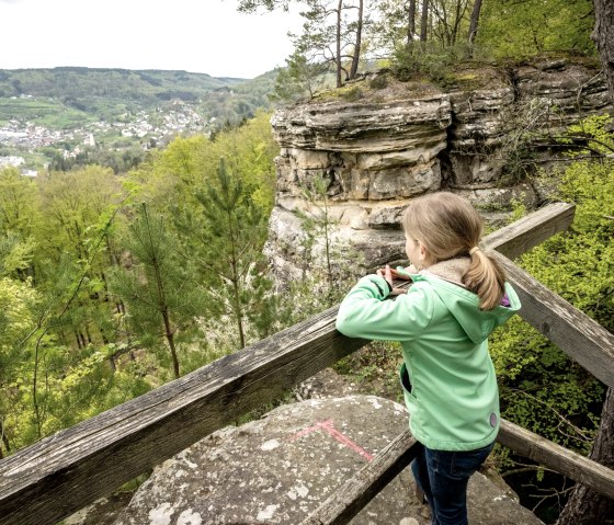 Blick auf Bollendorf, &copy; Eifel Tourismus, Dominik Ketz