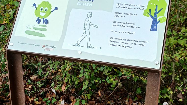 Ein Schild im Wald informiert über den Achtsamkeitsweg Irrel im Naturpark Südeifel. Es zeigt eine Karte und Anweisungen für eine Gehübung.
