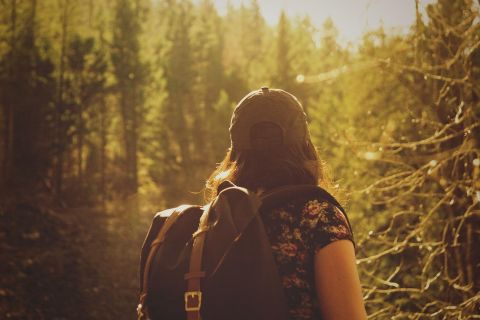 Eine Person mit einem Rucksack steht im Wald und schaut nach vorne. Die Sonne scheint durch die Bäume und sorgt für eine warme Atmosphäre.