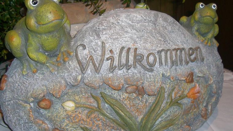 Une pierre deBienvenue décorative avec deux grenouilles vertes. La pierre est ornée de motifs végétaux.