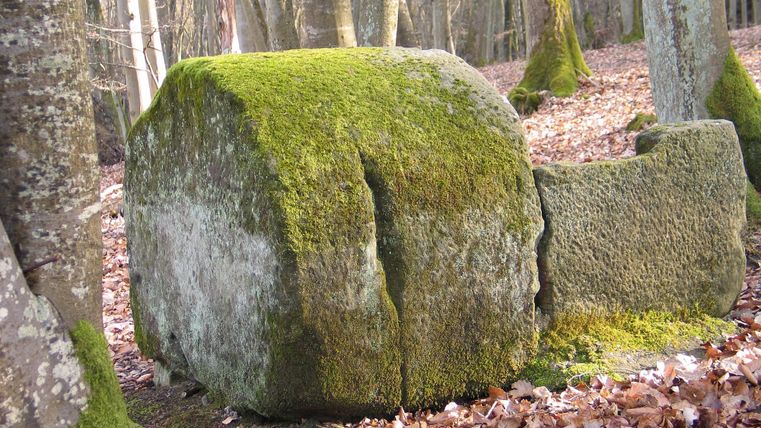 Ein runder, moosbedeckter Stein in einem Wald. Die Umgebung ist von Laub und Bäumen geprägt.