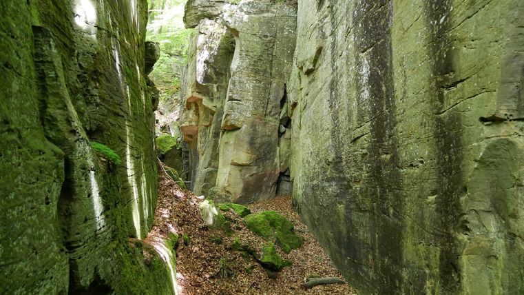 Schmale Schlucht mit moosbewachsenen Felsen und Laub am Boden.